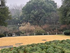 -杭州黄龙洞
