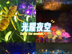 -三水森林公园