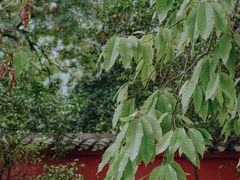 -白帝城·瞿塘峡景区