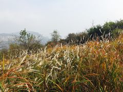 -焦作青龙峡风景名胜区
