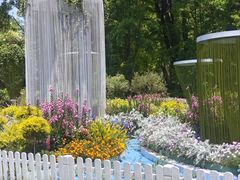 -上海共青森林公园