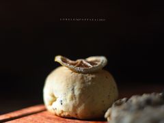 -角落低卡烘焙(正弘城店)