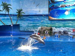 -多彩贵州城极地海洋世界