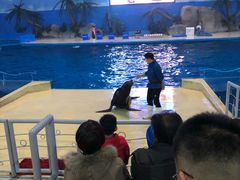 -泉城欧乐堡海洋极地世界