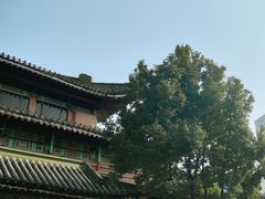 -南京钟山宾馆(江苏省会议中心)