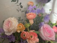 -双季花艺园艺市场(浦东店)