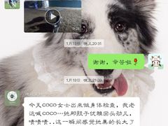 -趣玩宠物乐园寄养训犬训狗游泳池