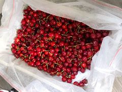 -西郊国际农产品交易中心