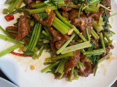 -天津医科大学第二医院