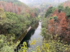 -重庆彩云湖湿地公园