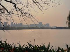 -洋湖国家湿地公园
