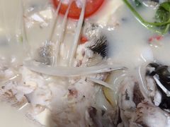 -全乐鱼馆·淳牌有机鱼直营店