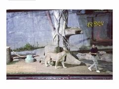 -清迈夜间动物园