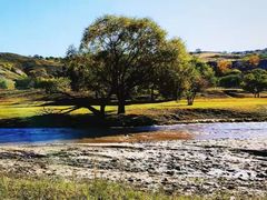 -塞罕坝国家级自然保护区