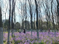 -白塘生态植物园