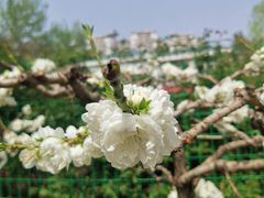 -東更道点心行(文化东路店)