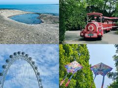 -木柴豆腐·活海鲜·鲁菜(岚山路店)