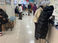 -美联众合动物医院·24h京西诊疗中心
