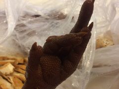 -顺城金记卤鸡·清真