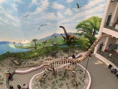 -辽宁古生物博物馆