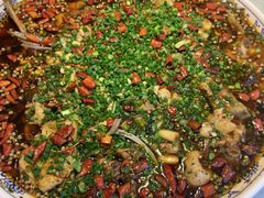 -新概念来凤鱼(璧山店)