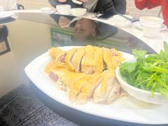 -阿水土鸡(朝阳总店)