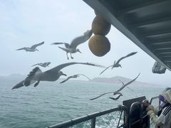 -海驴岛(荣成市)