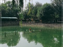 -尚庄度假村·庭台树下·户外烧烤·团建CS·轰趴营地(上庄水库店)
