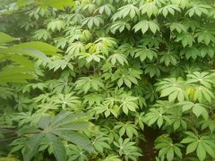 -维乐口腔医院(福清院)