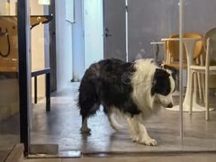 -ibarrel爱杯·bistro&brunch(江宁路店)