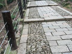 -苏州上方山国家森林公园