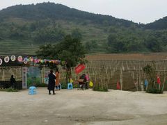 -普迪生态园