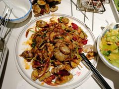 -京城·森鸽排档(双井店)