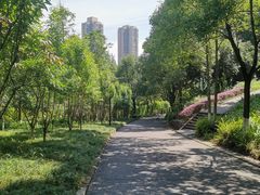-重庆彩云湖湿地公园