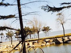-青岛海泉湾度假区温泉