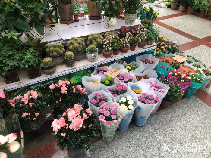 金地花卉大观园图片