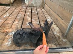 -北京鹿世界主题园