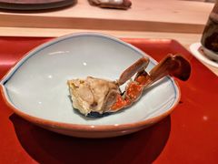 -橼舍鮨青木