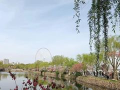 -无锡蠡湖国家湿地公园-蠡园