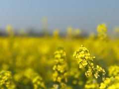 -中国天府农业博览园