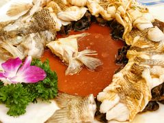 -博雅渔港·融合菜(维也纳国际大酒店)