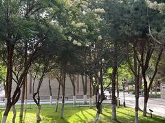 -张掖大佛寺景区