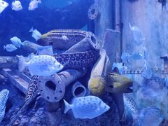 -成都浩海立方海洋公园