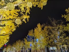 -水碾河刘老大串串香(水碾河路店)