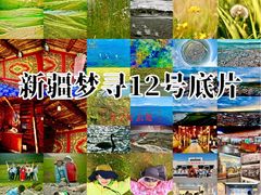 -特克斯八卦城
