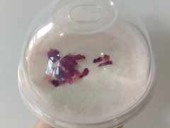-喜茶(广州番禺奥园广场店)