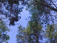 -浙西天池-售票处