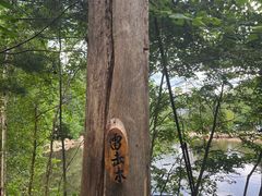 -汤旺河林海奇石景区