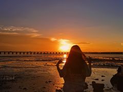 -宝安西湾红树林湿地公园