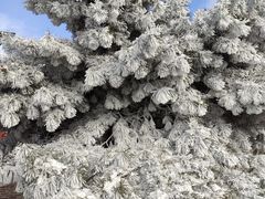 -泰山风景名胜区